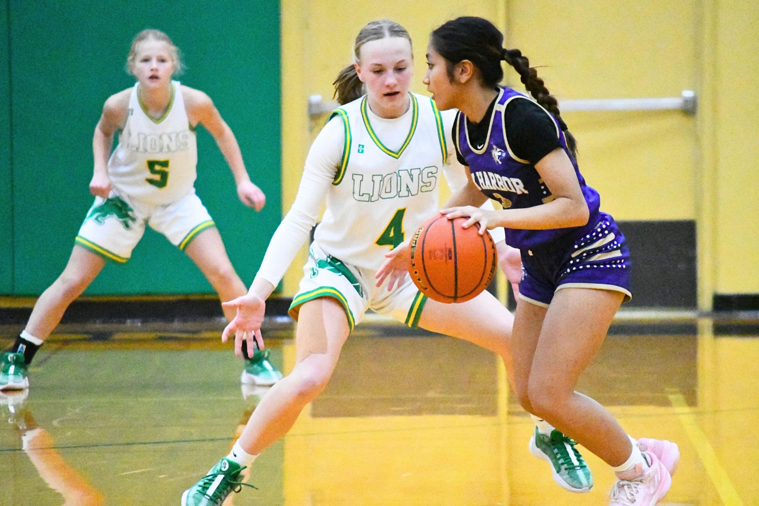 2023 Girls Basketball Roundup - December 4th - Whatcom County High ...